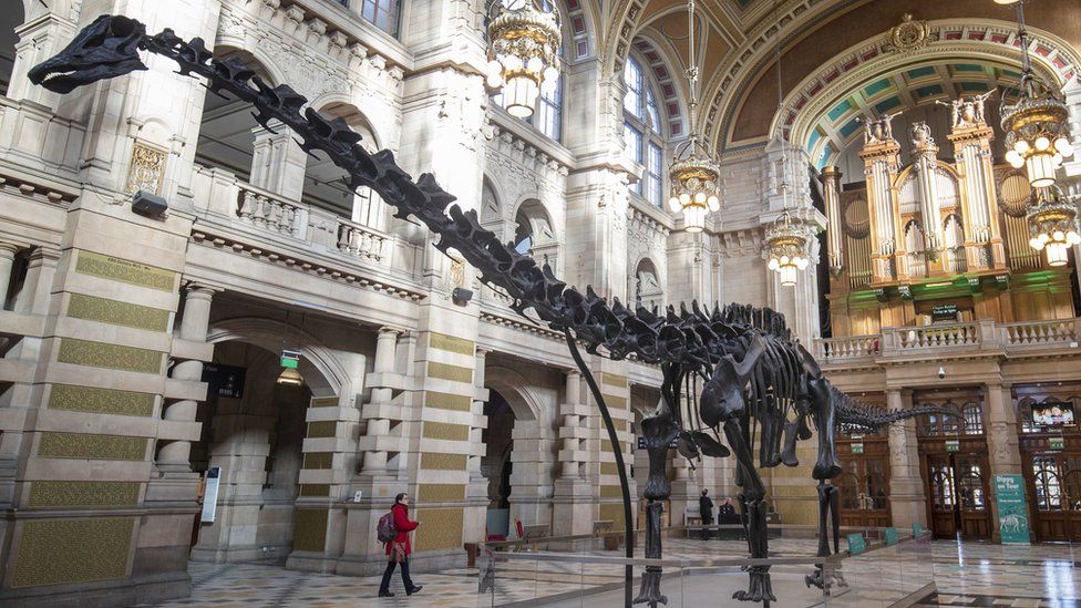 Dippy at the Natural History Museum