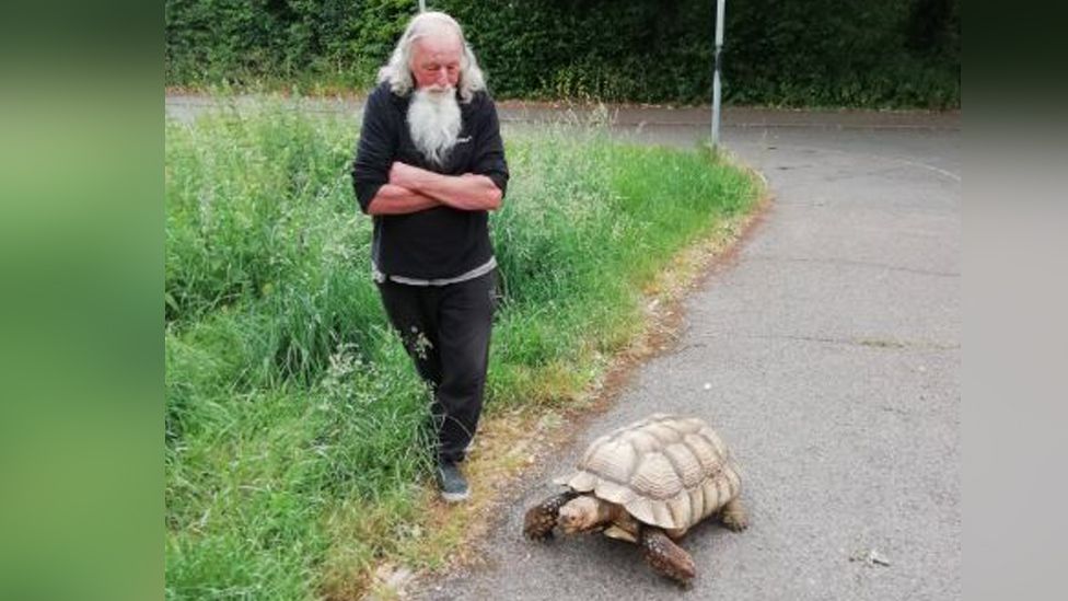 Man with tortoise