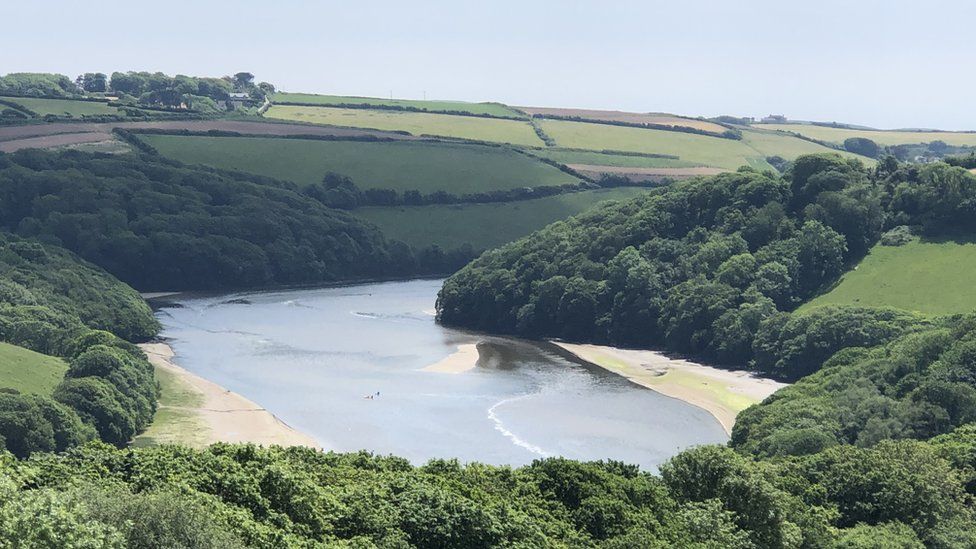 Water firm investigates surge in sewage spills in Devon BBC News