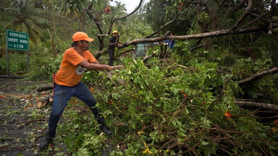 A man pulls at a tree fallen in the road