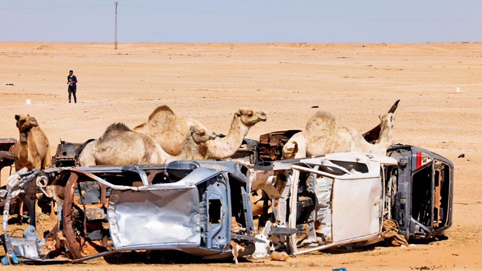 Sahara Marathon competitor runs near camels standing in the wreckage of abandoned cars in Tindouf, Algeria - Tuesday 28 February 2023