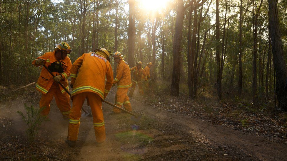 Fire crews in Australia work to create control lines - or fire breaks - to help slow the spread of a fire