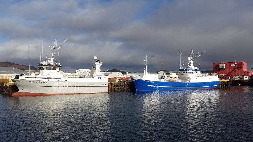 Fishing ships owned by Icelandic firm Visir