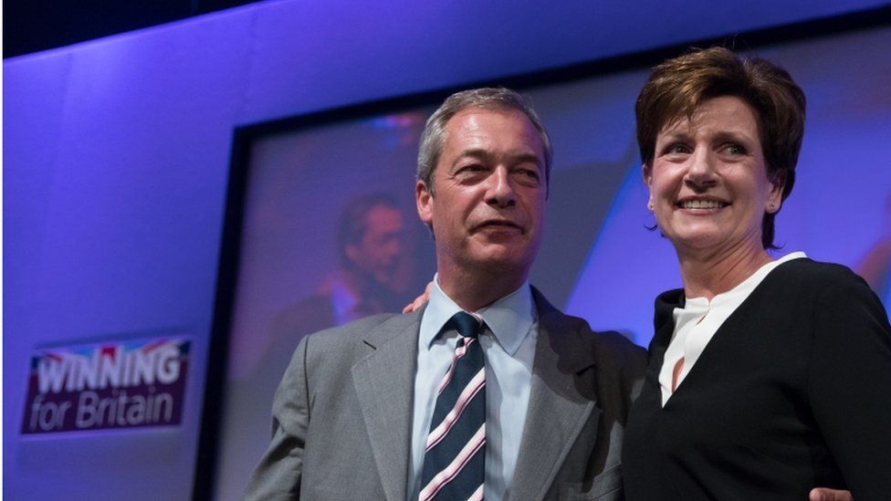 Nigel Farage and Diane James