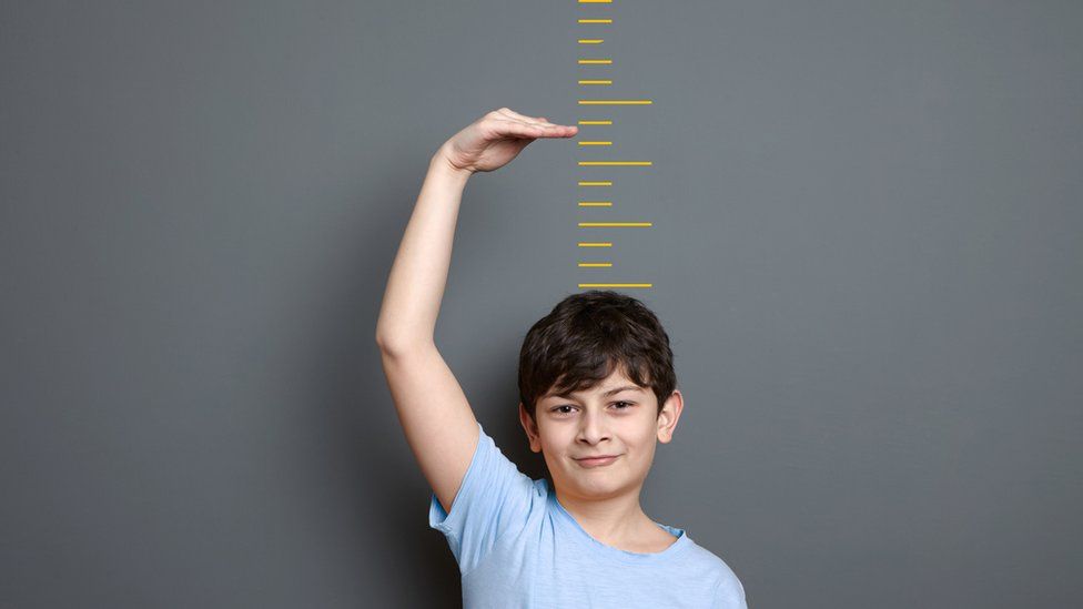 Мальчик пытается понять, какого роста он может вырасти