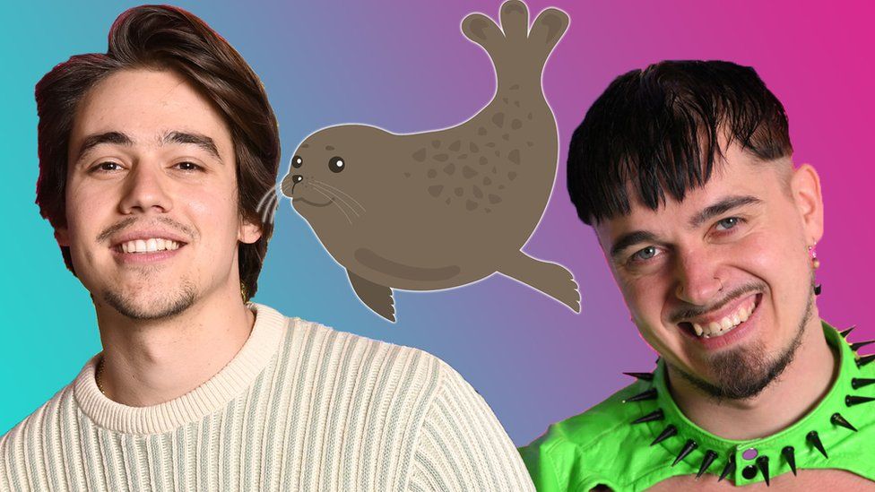 What Does A Seal Have To Do With Eurovision 2023 BBC Newsround