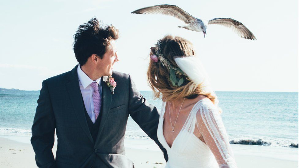 Чайка налетела на Чарли Уоткинс и ее мужа во время их свадебной фотосессии в заливе Сент-Оуэн в Джерси в сентябре