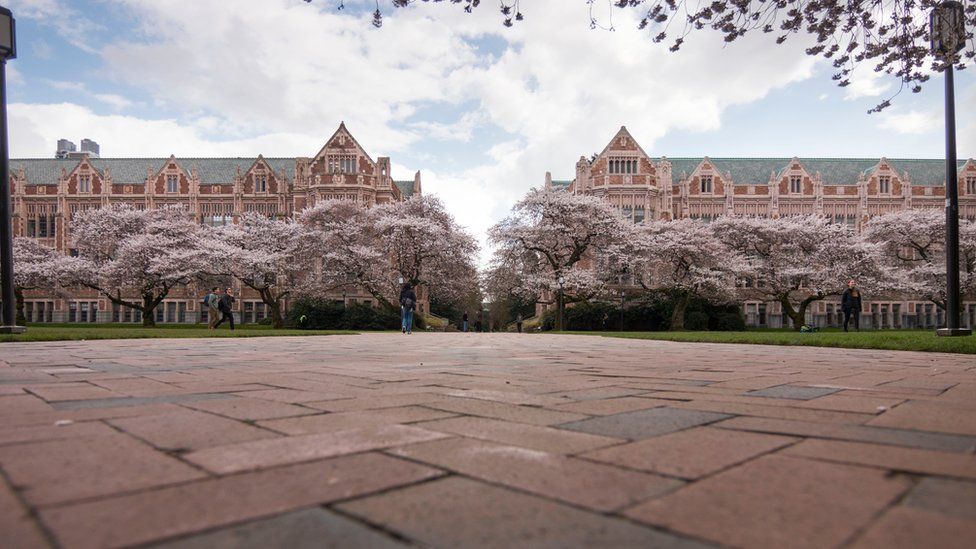 Washington University