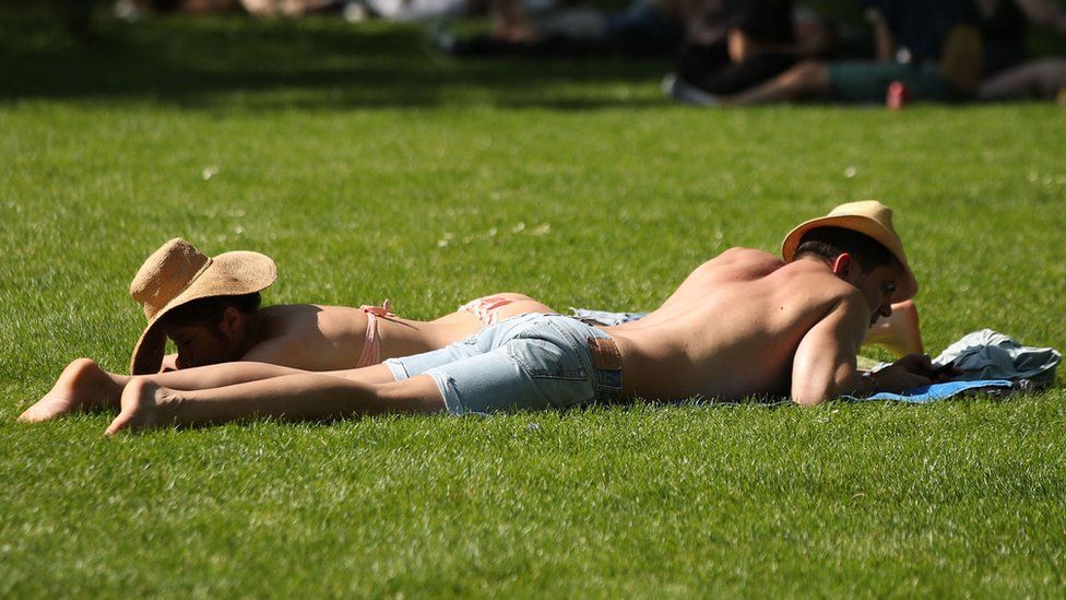 People sunbathing in a park