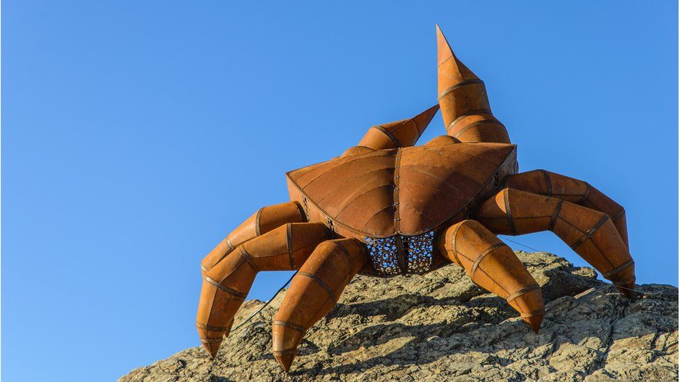In pics Giant sculptures on the beach BBC Newsround