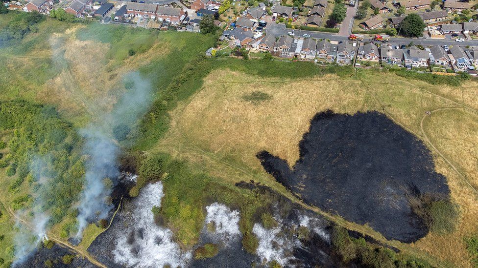 Fire damage to grass in Giltbrook