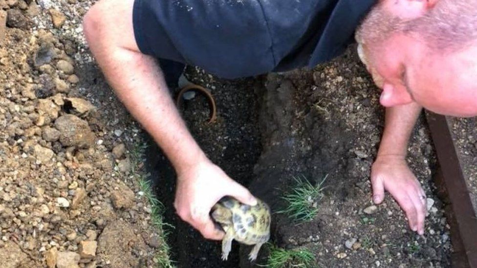 RSPCA inspector with tortoise