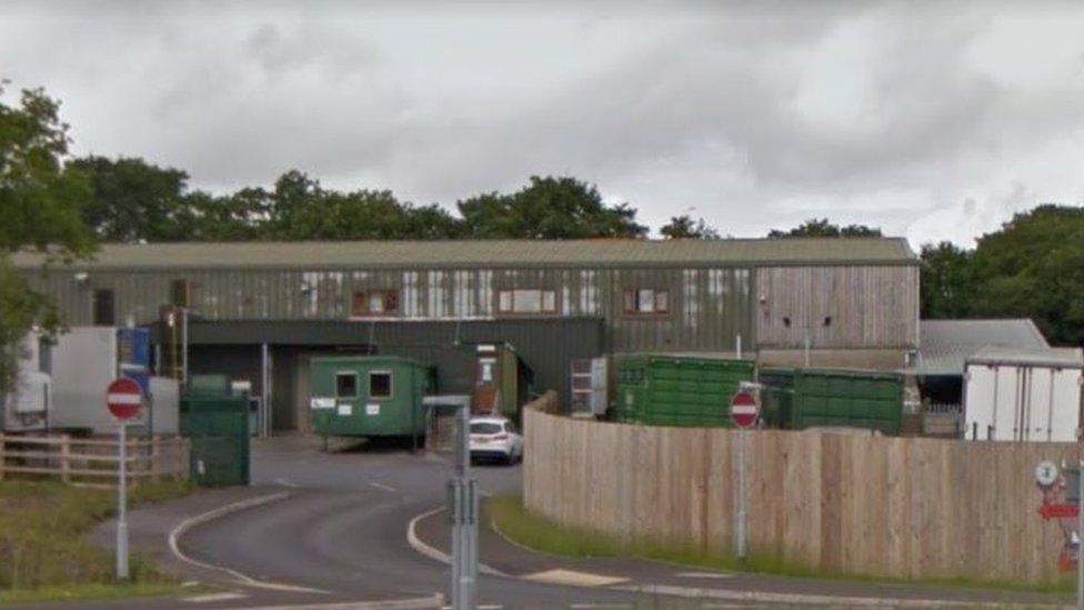 Heddlu'n difa tarw ddihangodd o ladddy Cig Calon Cymru BBC Cymru Fyw