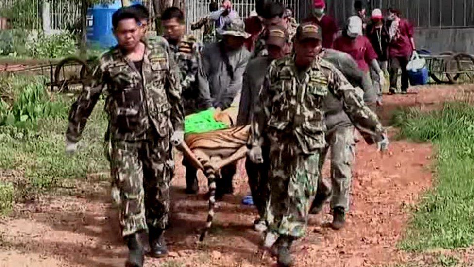 Tiger carried on stretcher