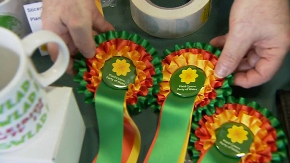 Can Plaid Cymru Take Advantage In May? - BBC News