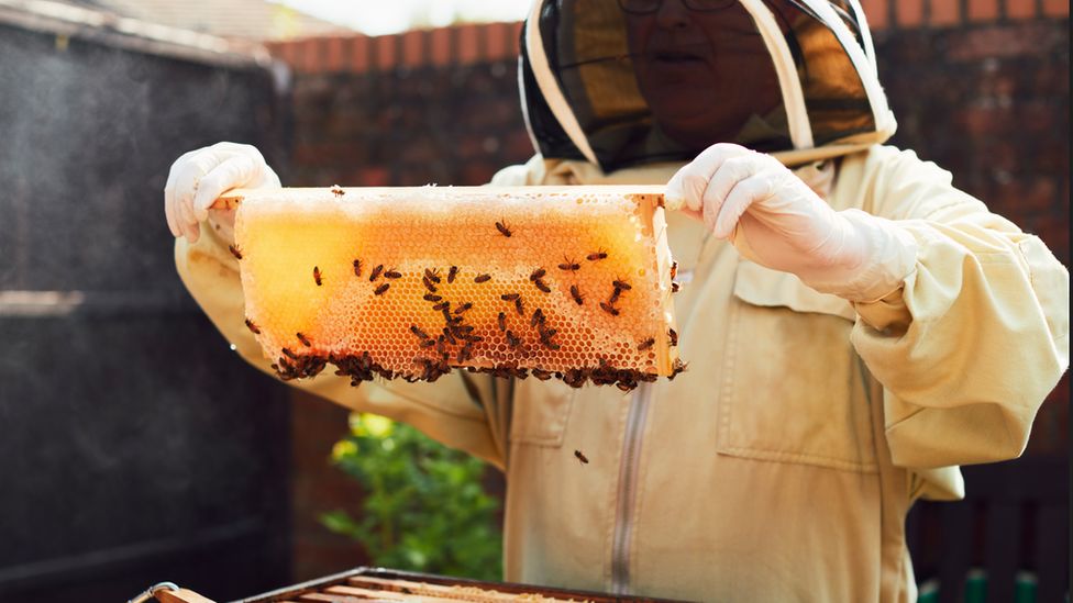 Beekeeper with honeycomb and beehive