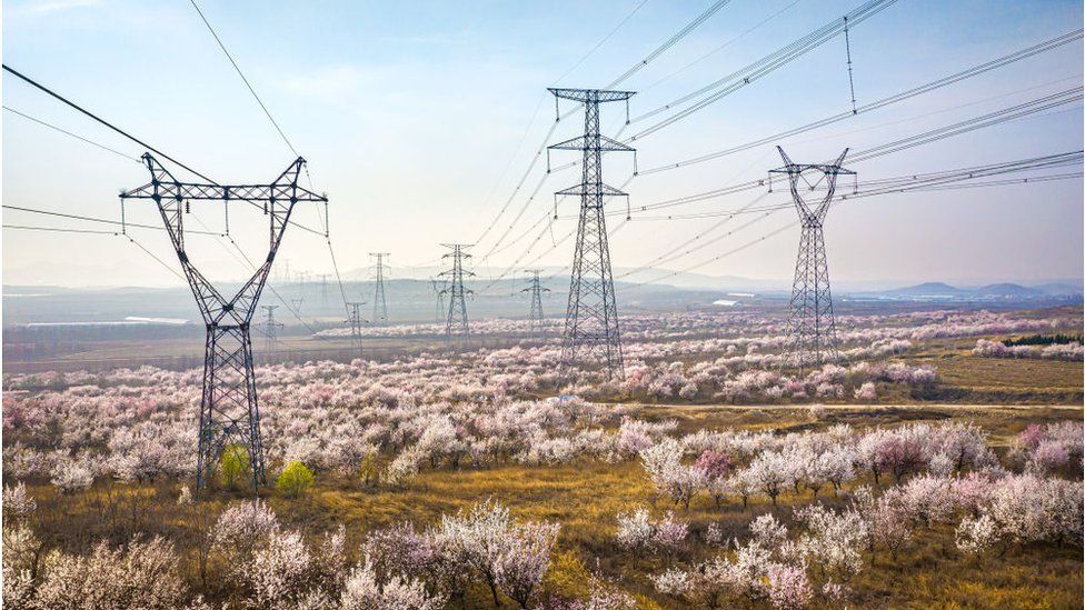 Power lines in Dalian, northeast China