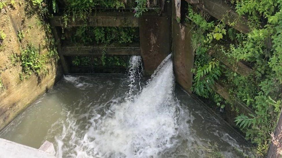 A canal lock overgrown with vegetation that has water bursting through from a leak