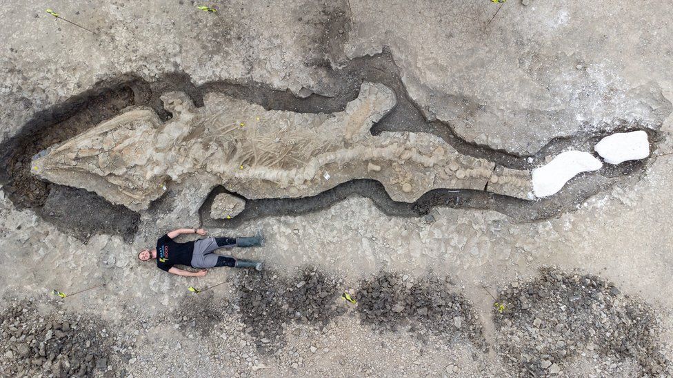 Huge fossilised ‘sea dragon’ found in Rutland reservoir thumbnail