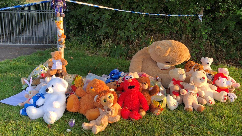 Soft toys and tributes to Logan at Pandy Park