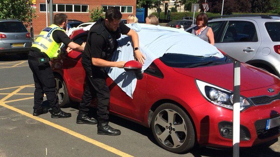 Police officers smash car window