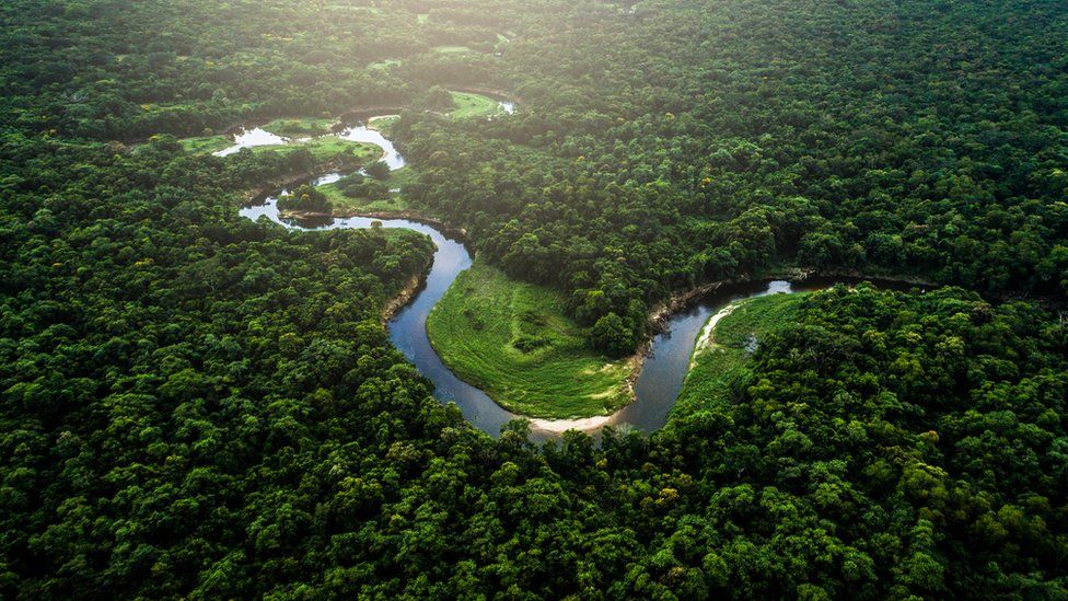 Rio em meio a floresta amazônia visto de cima