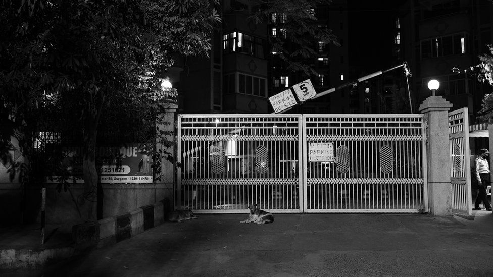 A black and white photograph of the gate to her apartment