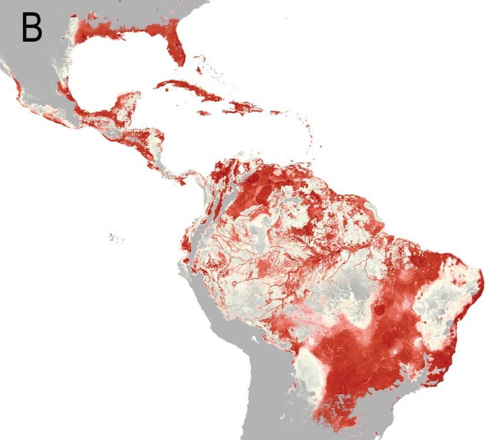 South America risk