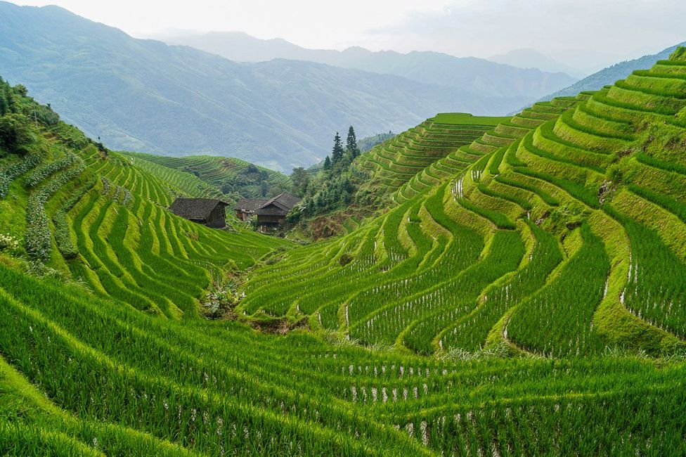 Your pictures on the theme of 'uphill' - BBC News