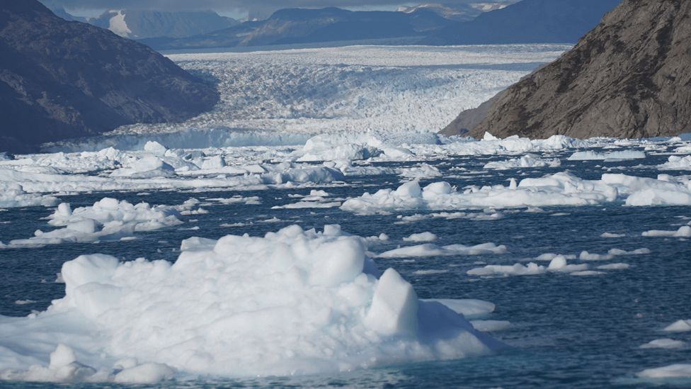 Floating ice in Greenland