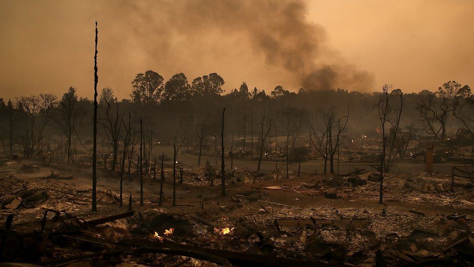 Pictures: Wildfires Rage In California - BBC Newsround