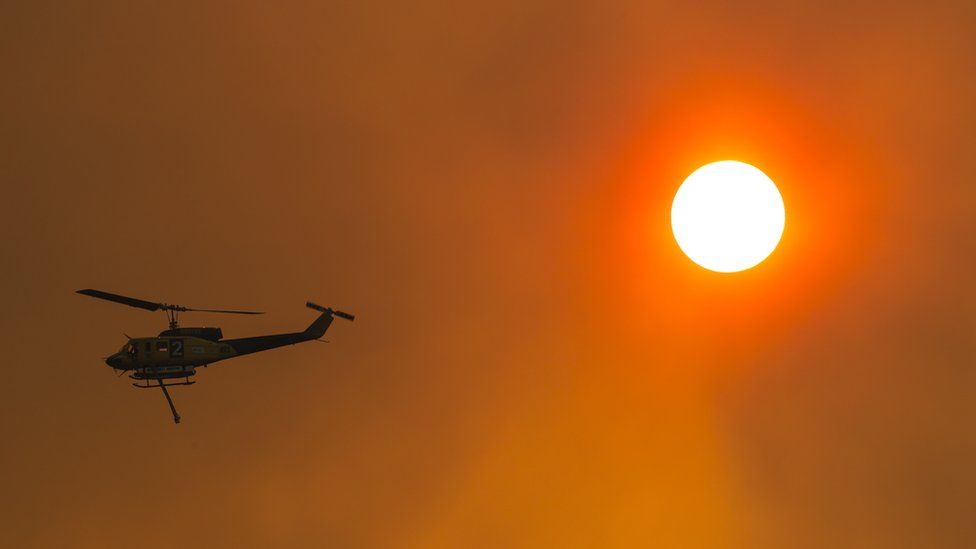 In pictures: How Australians are enduring record heat - BBC News