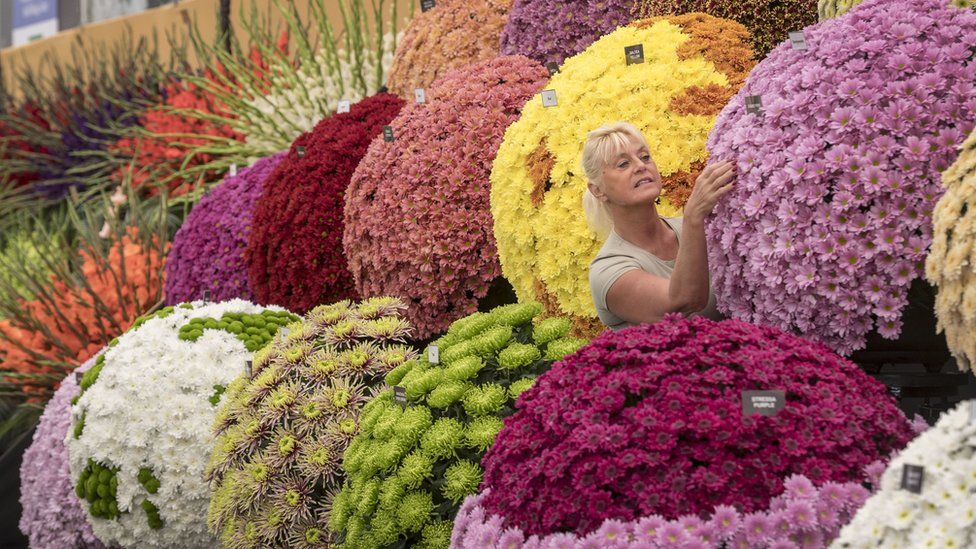 Worker preparing flower display