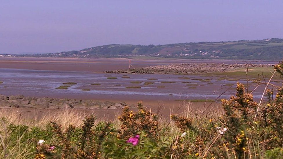 The Burry Inlet, near Llanelli