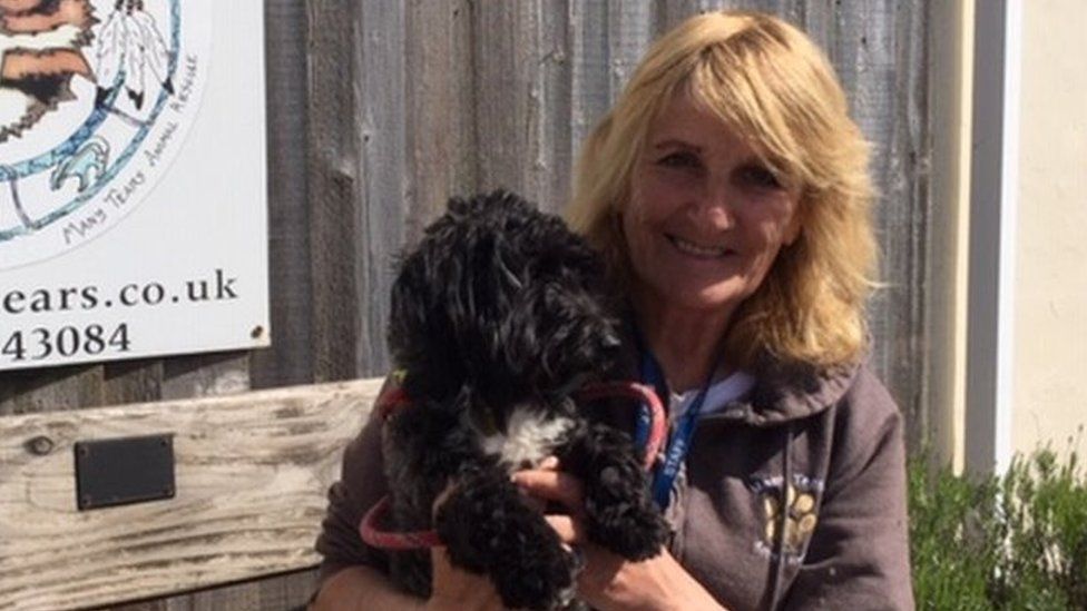 Karen Jones from Penclawdd with newly adopted Cavachon Archie