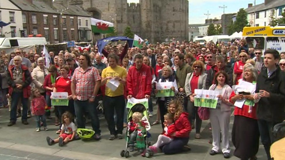 Ymgyrchwyr Yn Galw Am 'Gymru Rydd Yn Ewrop' - BBC Cymru Fyw