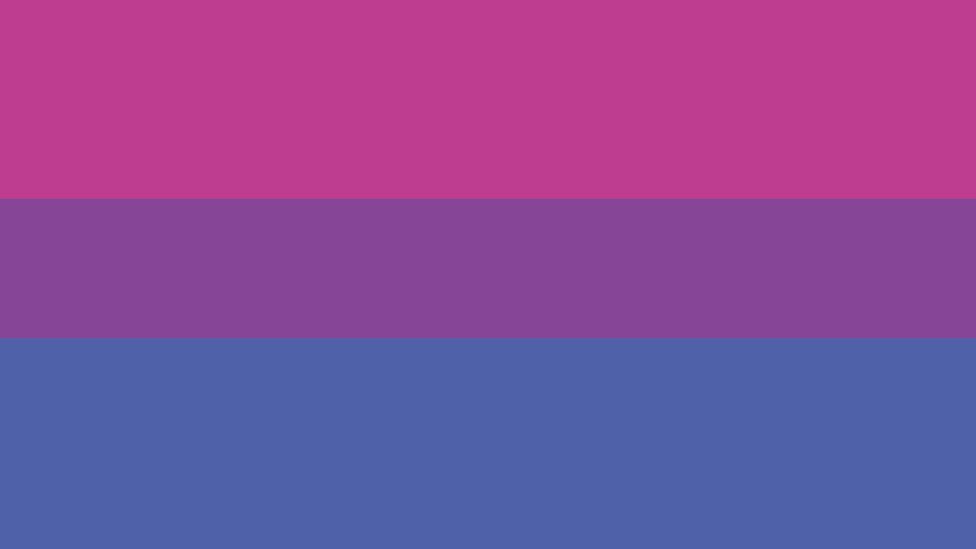 The flag of bisexuality