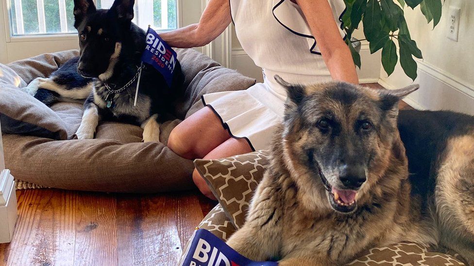 Joe Biden's dog involved in another White House 'biting incident' BBC