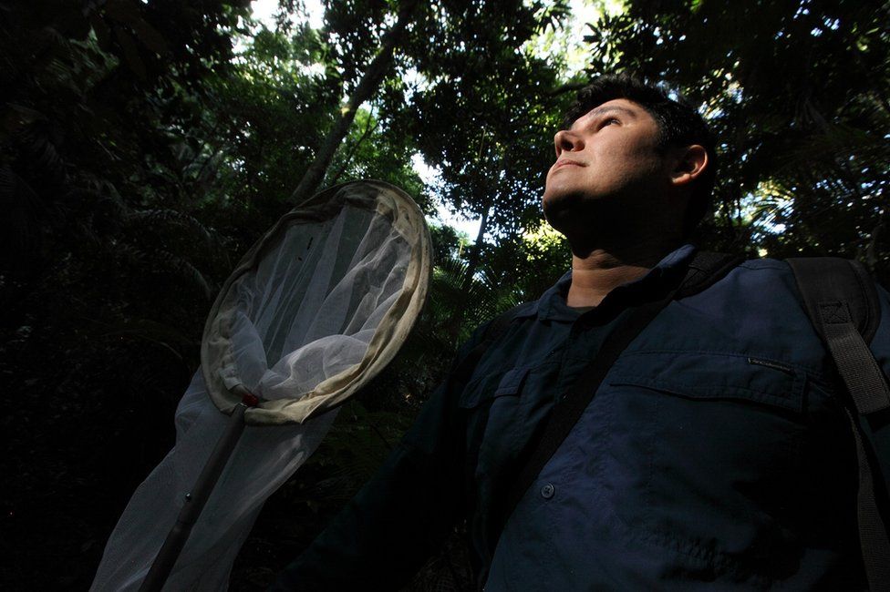Pedro Dias on a hunt for crickets in the Tijuca National Forest in Rio de Janeiro