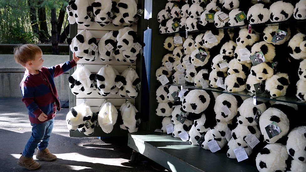 2 years old Watson Grace from Durham, NC chooses one of the Panda hats at a store during Smithsonian's youngest giant panda cub
