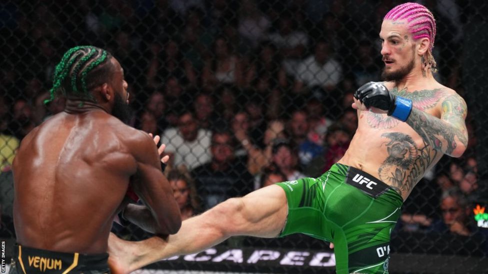 UFC 292: Sean O'Malley Stuns Aljamain Sterling To Win UFC Bantamweight ...