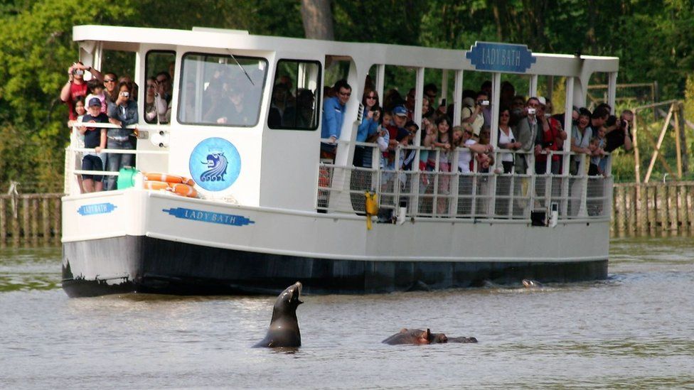 Boat crossing a lake with a seal and hippo poking their heads above the water