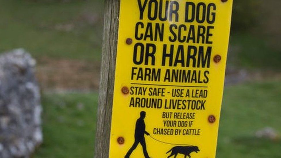 dog warning