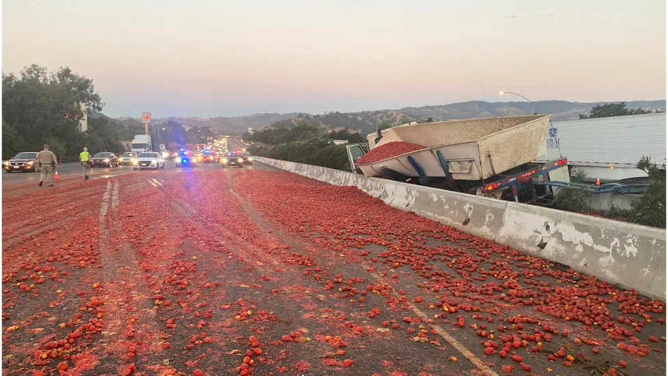 Truck spills 150,000 tomatoes causing California crash (bbc.com)