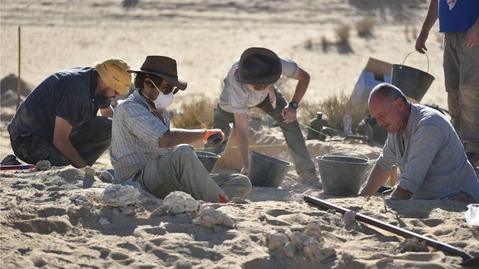 Researchers excavating in the sands of Al Wusta