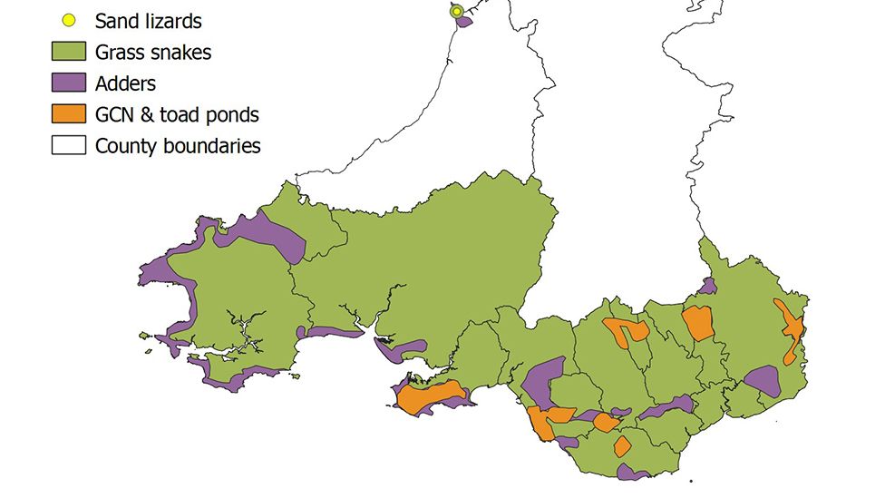 map of southern Wales showing reptile and amphibian populations