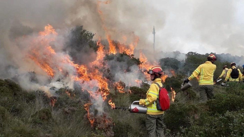 Firefighters tackling a fire