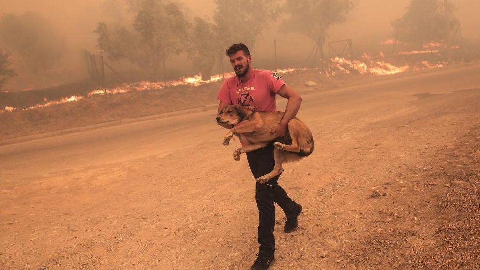 A farmer rushes to evacuate his dog during a wildfire at the area of Fyli near Athens, Greece, 22 August 2022