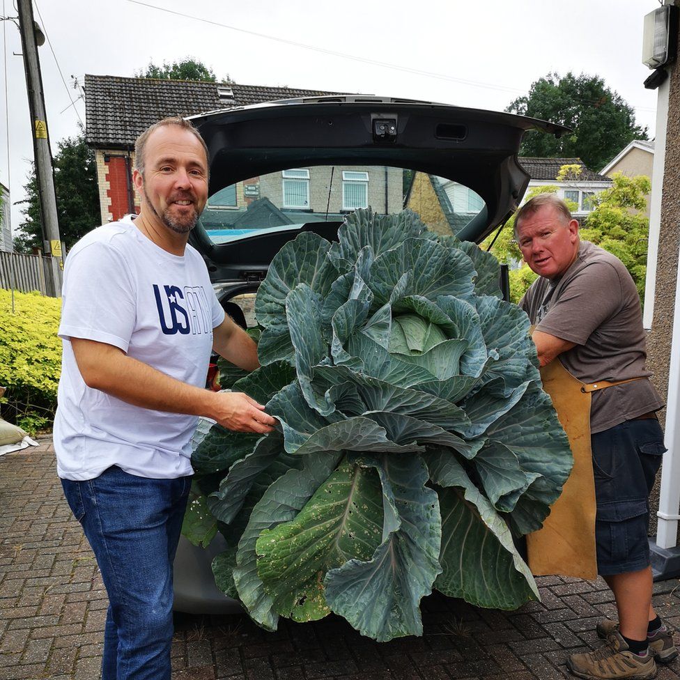 Kevin Fortey (left) with a giant cabbage