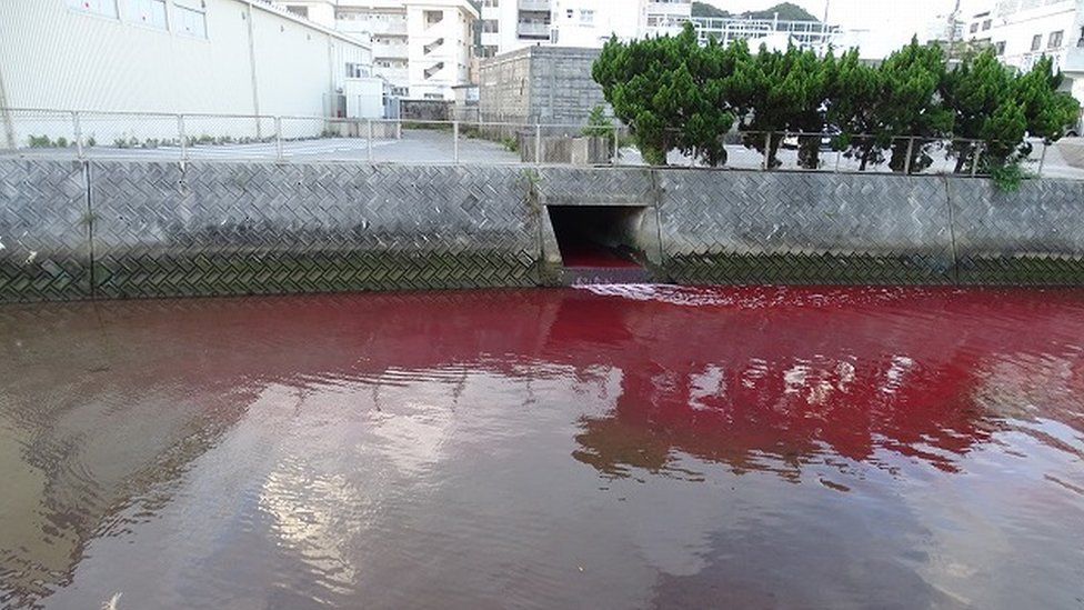 Okinawa Japan beer factory leak